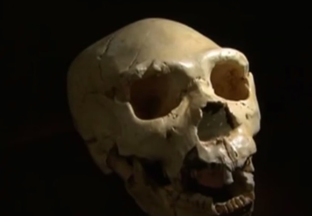 L-Mental - Excavacions a la Cova Fantasma d'Atapuerca