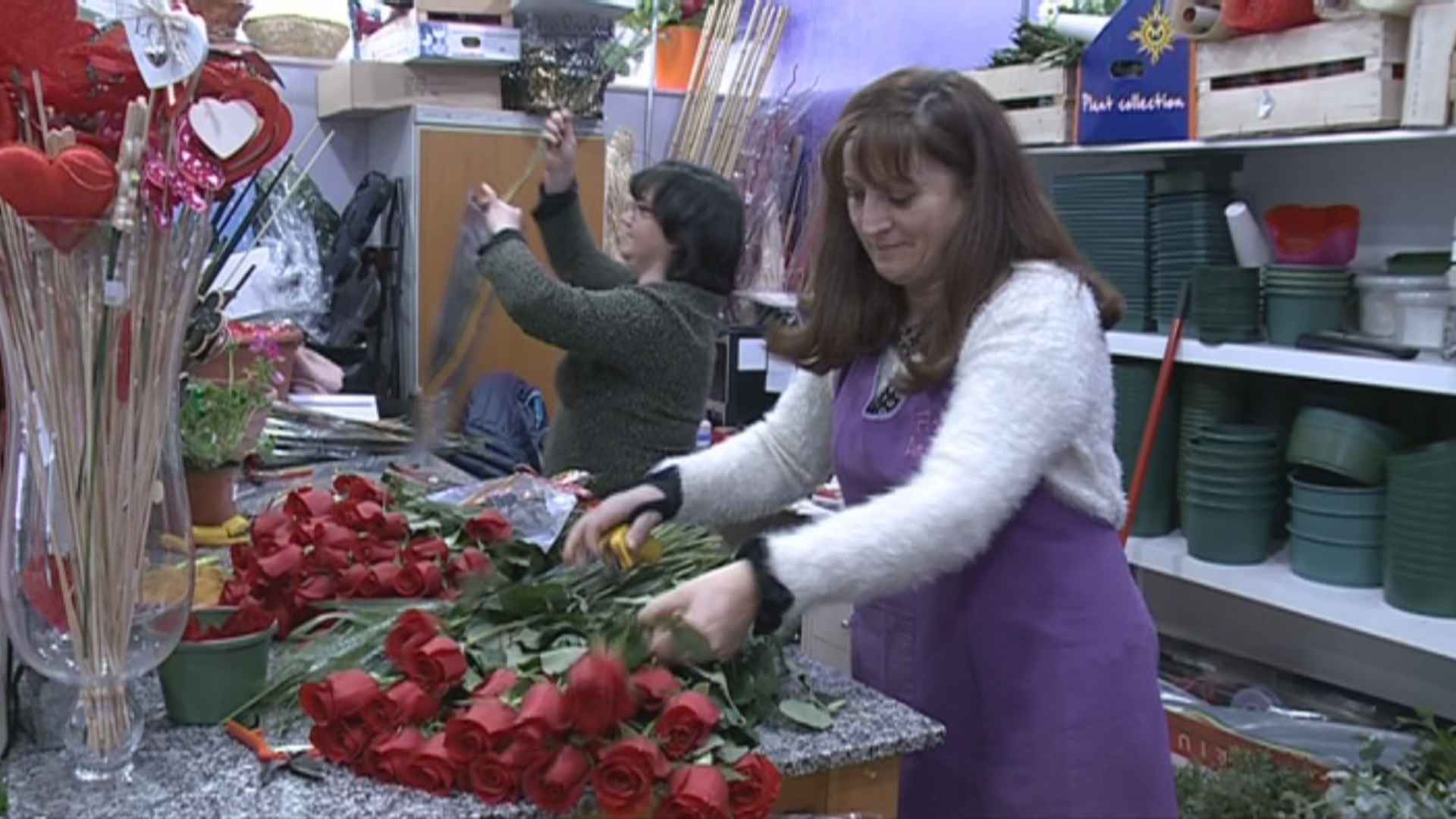 Reportatge: Així es preparen les roses per Sant Jordi