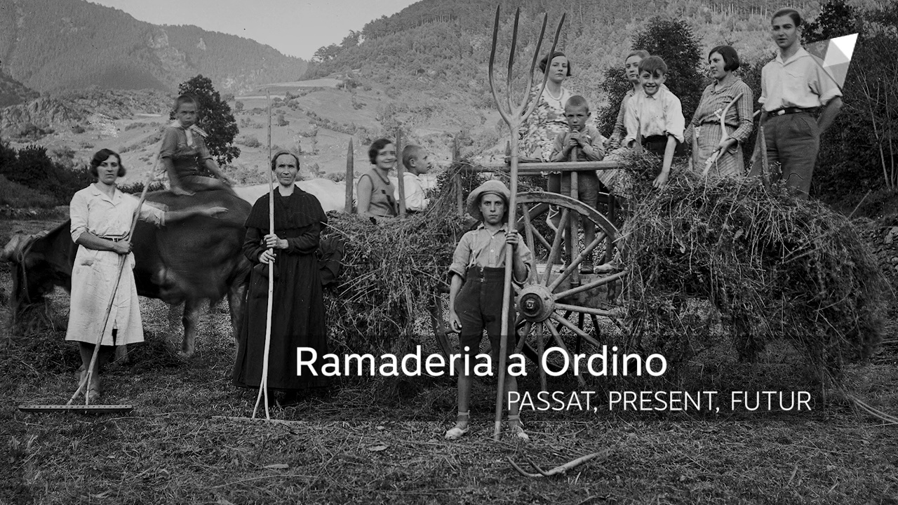 Ramaderia a Ordino: Passat, present i futur