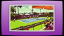 Coneixem el Tenis - 8 bits