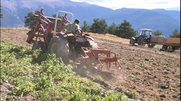 150.000 euros en ajudes a l'agricultura