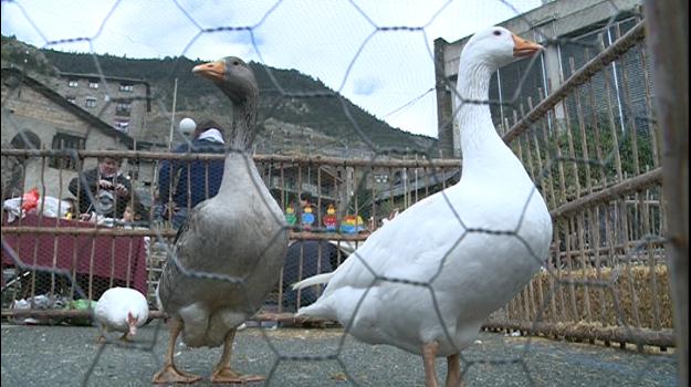 Canillo acull la Fira del bestiar i l'artesania amb la necessitat d'adaptar-se als nous temps