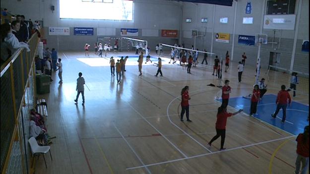 Gran participació al campionat escolar de vòlei