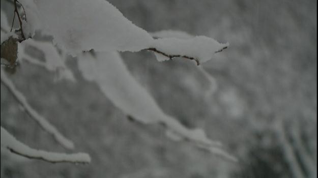 En previsió de les nevades que protecció civil alerta que hi pot 