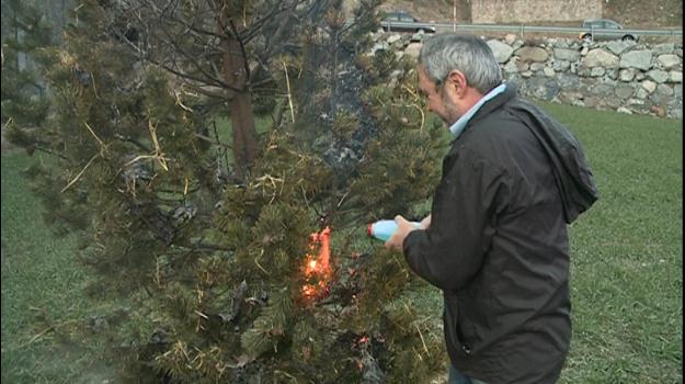 Canillo celebra la crema del gener