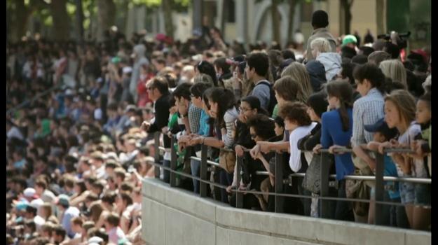 Comencen a Montpeller les FISE World Series