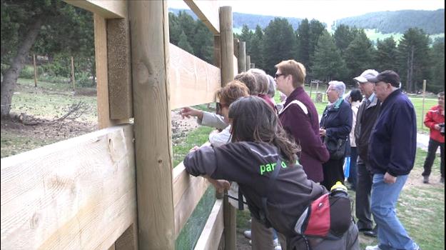 El parc d'animals de Naturlàndia s'amplia amb quatre cérvols