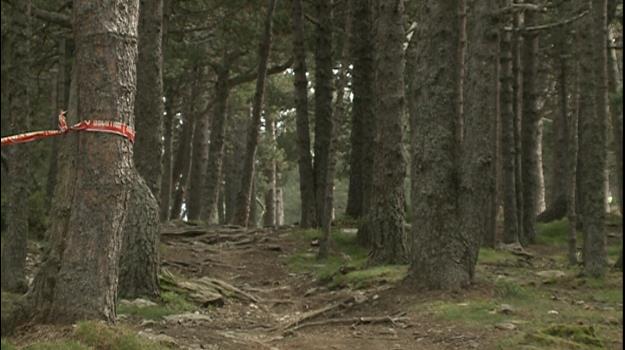 Dos ciclistes ferits de consideració