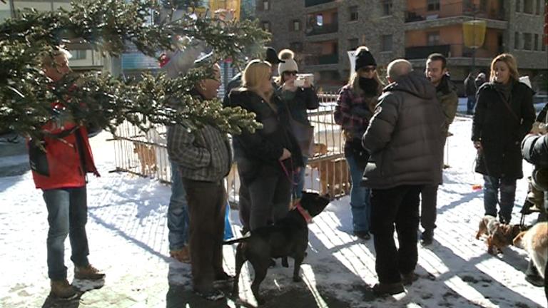 Coincidint amb la festivitat de Sant Antoni, els veïns de Canillo