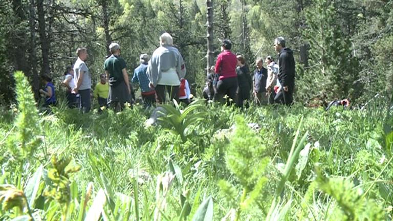 Una vintena de persones participen en el bany de bosc a Sorteny