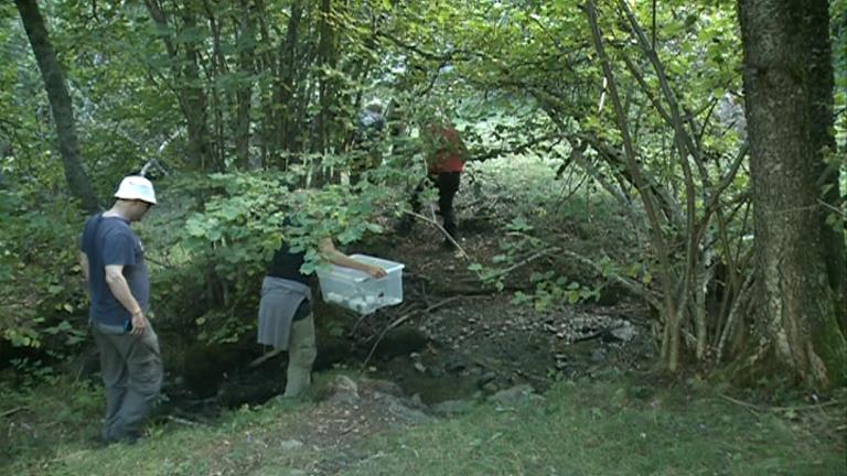 L'ONG Earth Watch i el CENMA duen a Andorra turistes que volen estudiar el canvi climàtic