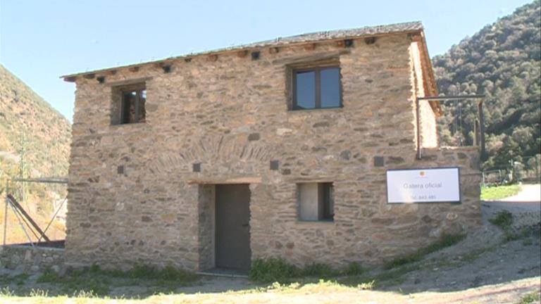 Un centre modern i amb tots els controls veterinaris per acollir els gats domèstics