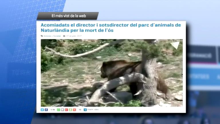 La situació al parc d'animals, el més vist de la setmana