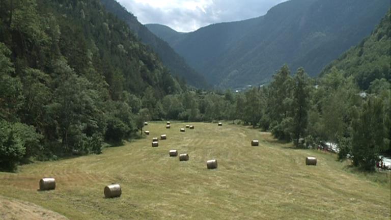 Més de 375.000 euros en subvencions per a explotacions agràries i ramaderes