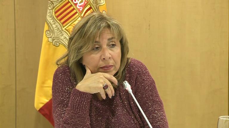 Marsol no entén que els xalets de la discòrdia a la Margineda no es considerin d'Andorra la Vella