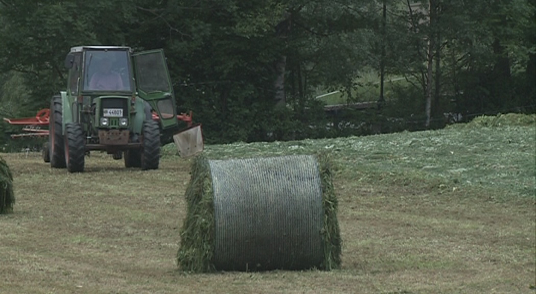 Agricultura treballa per mantenir el 4% del sòl agrícola i trobar nous conreus