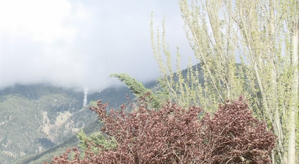 Tornen les al·lèrgies primaverals