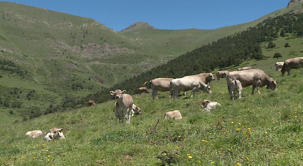 2,6 milions d'euros d'ajudes públiques a l'agricultura el 2019