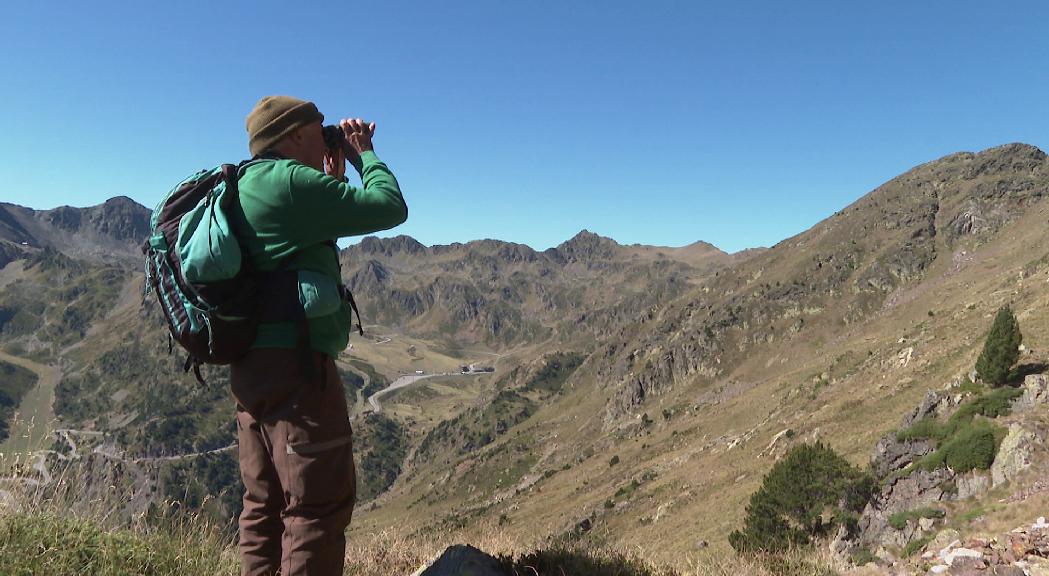 671 caçadors participen en la Setmana de caça de l'isard