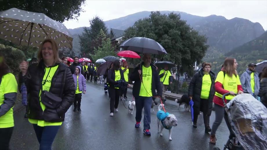 La marxa solidària contra el càncer arriba a la sev