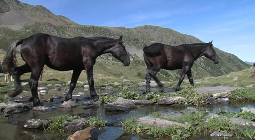 Andorra participa en una de les primeres trobades de la xarxa mundial de reserves de la biosfera amb l'objectiu de crear sinergies 