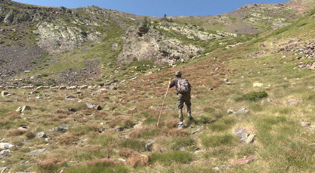 Andorra presenta candidatura per formar part del reconeixement de la UNESCO com a Patrimoni cultural immaterial de la transhumància