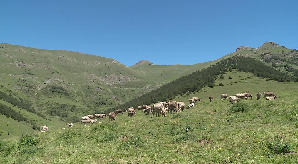 Andorra presenta la candidatura per obtenir el segell de la Federació Internacional d'Agricultura