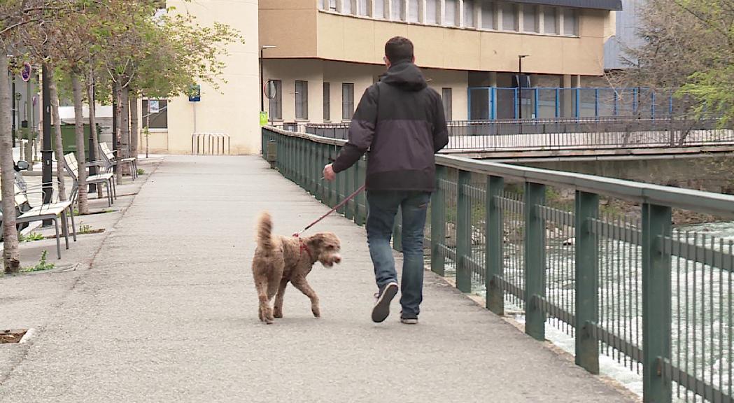 Andorra la Vella reclama uns 25.000 euros per la taxa de tinença de gossos