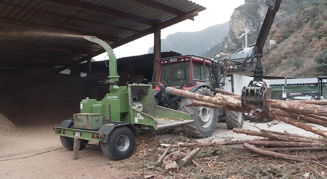 L'aprofitament de la biomassa forestal per fer combustible és inviable si el Govern no s'hi implica