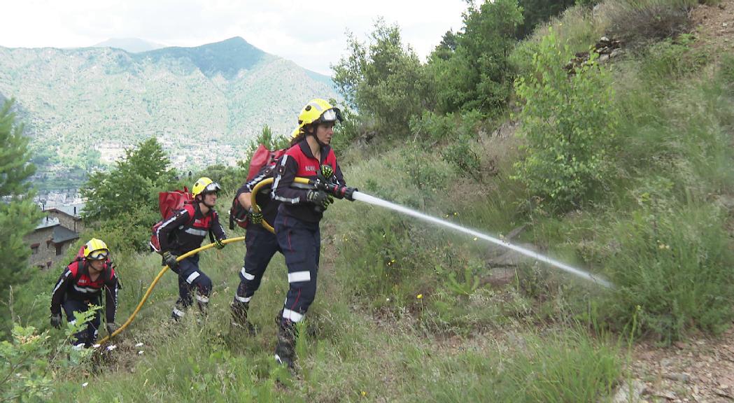 Els bombers alerten de la quantitat de sotabosc en un estiu que es preveu amb menys risc d'incendi