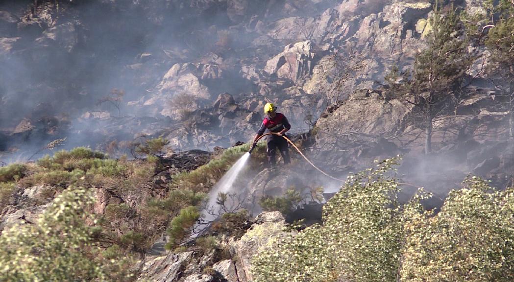 Les noves incorporacions dels bombers comencen les formacions sobre prevenció d'incendis forestals