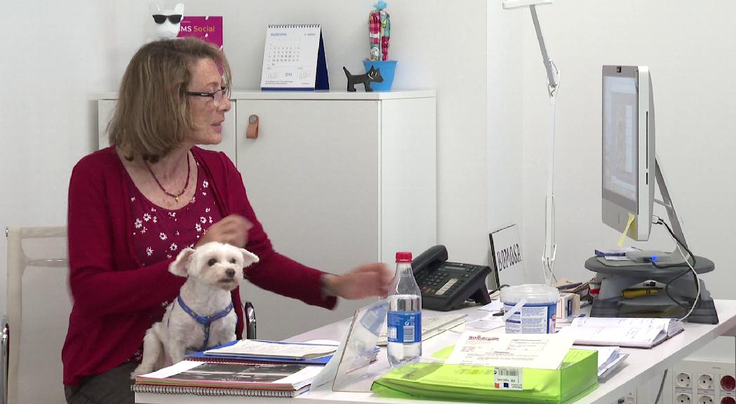 Bomosa, primera empresa del país a afegir-se a Pets at work