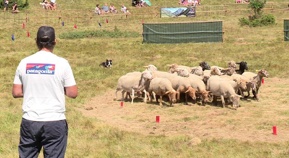 Aquest diumenge, 30 de juliol, Canillo acollirà la trenta-tresena