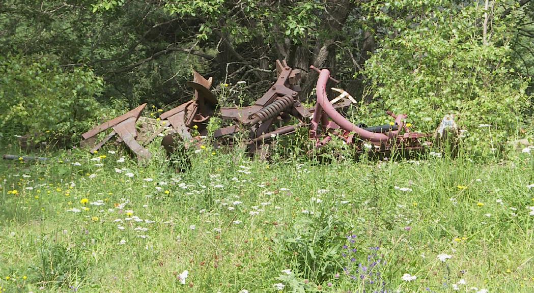 Canillo recull més d'una tona d'escombraries des del maig 