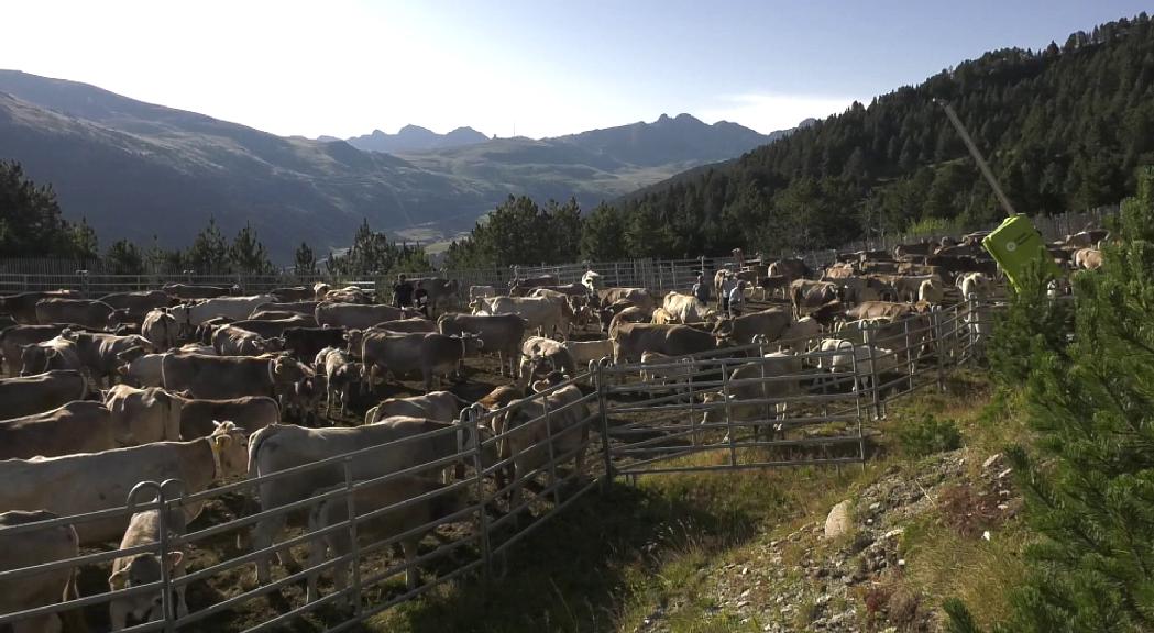 Canillo vol impulsar una cooperativa agrícola per assegurar la continuïtat del sector a la parròquia 