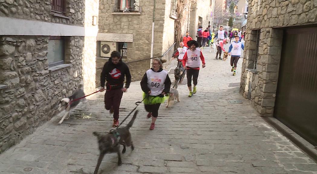 Una cinquantena de persones amb els seus gossos participen en la primera OTSO Trail Dog