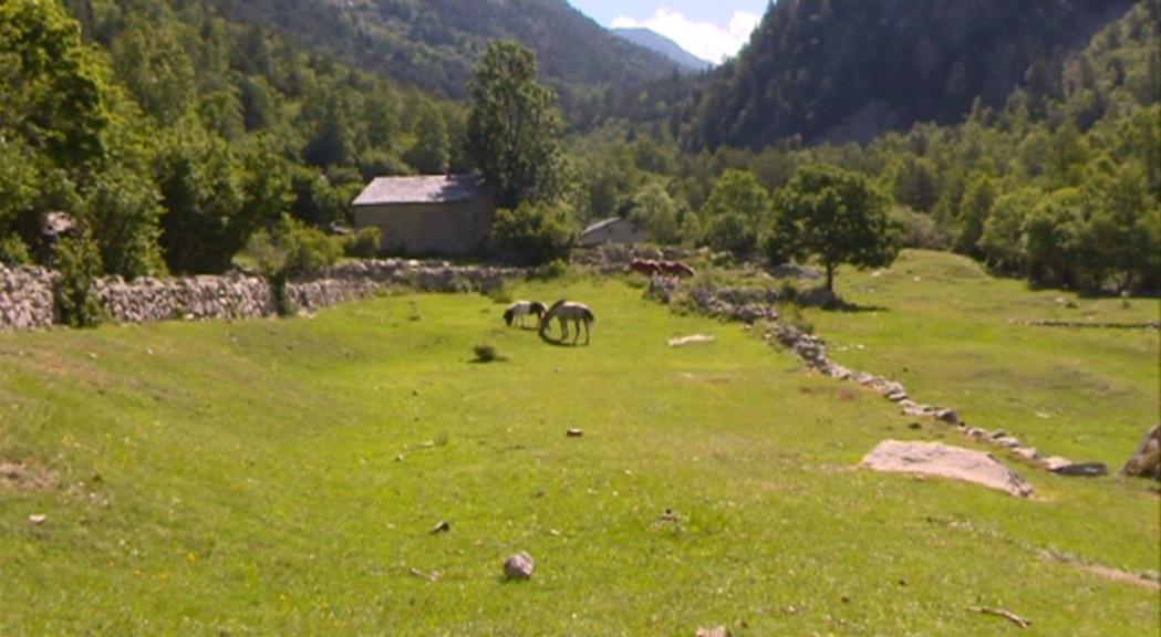 Col·laboració entre la vall del Madriu- Perafita-Claror i Actua Tech per saber quanta gent hi circula