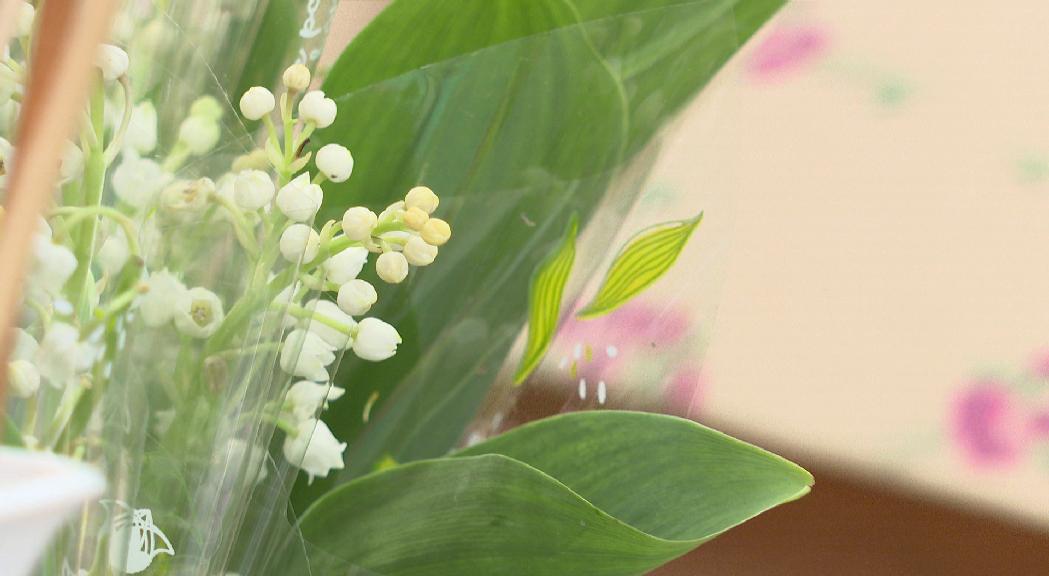 Comandes de muguet a les floristeries, la festivitat francesa que busca desitjar bona sort