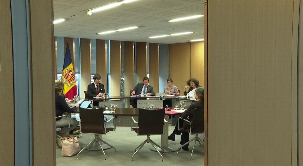 Comencen els treballs per actualitzar el reglament del Consell General