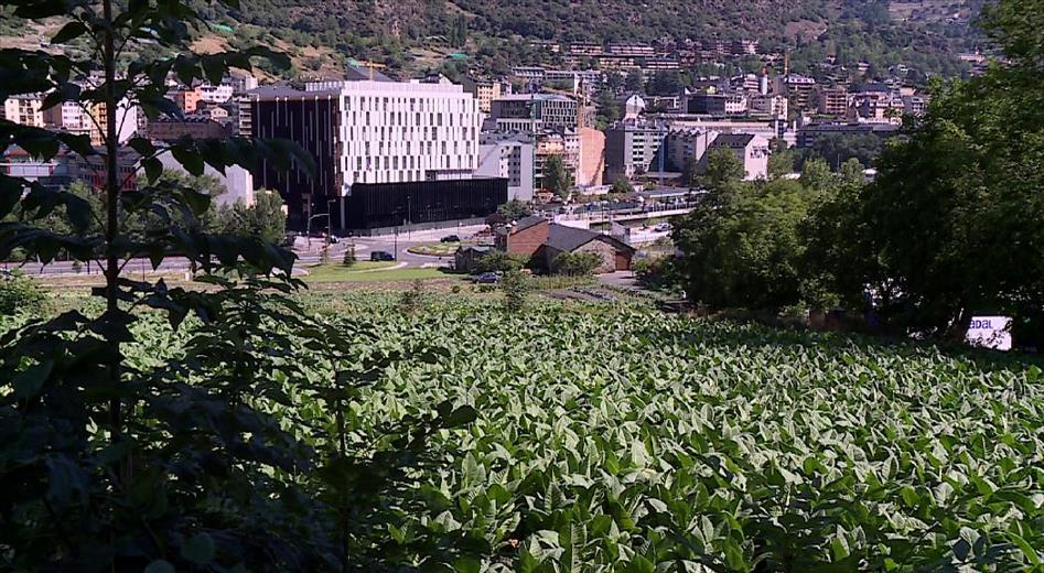 L'Institut de Recerca i Tecnologia Agroalimentàries de