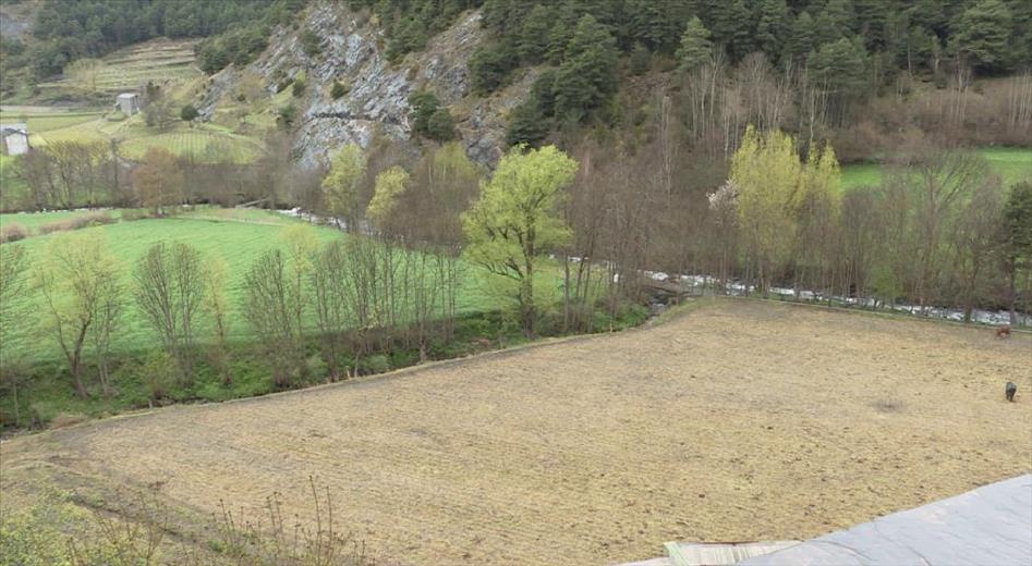 Aquest pas és clau per tal de desenvolupar el centre d&#39