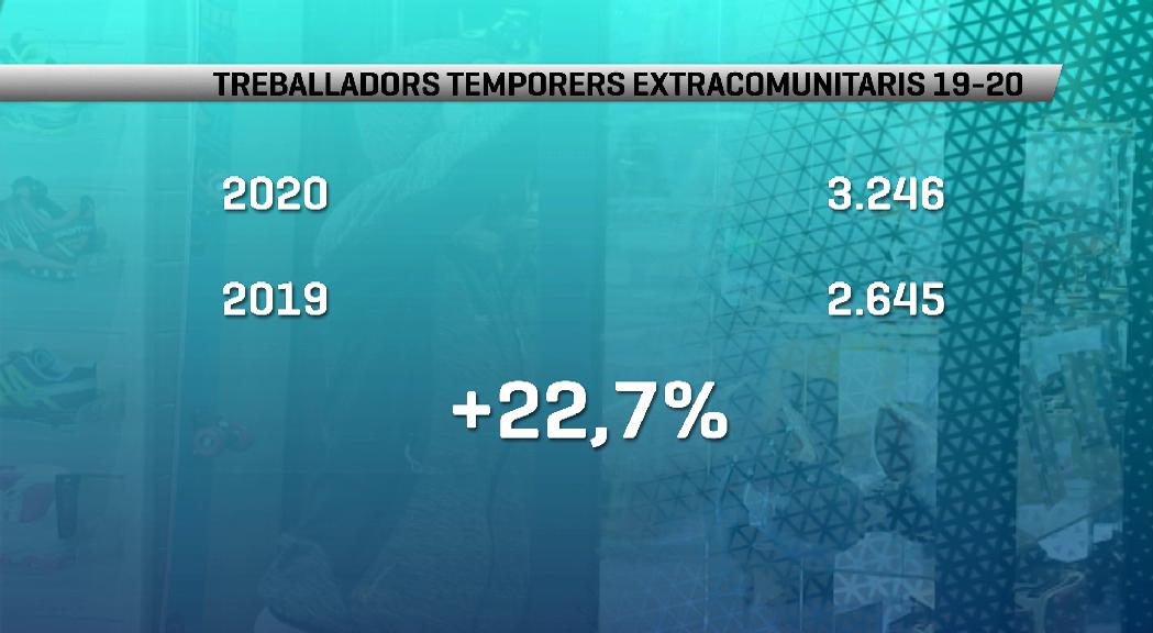 La contractació de temporers extracomunitaris creix més d'un 20%