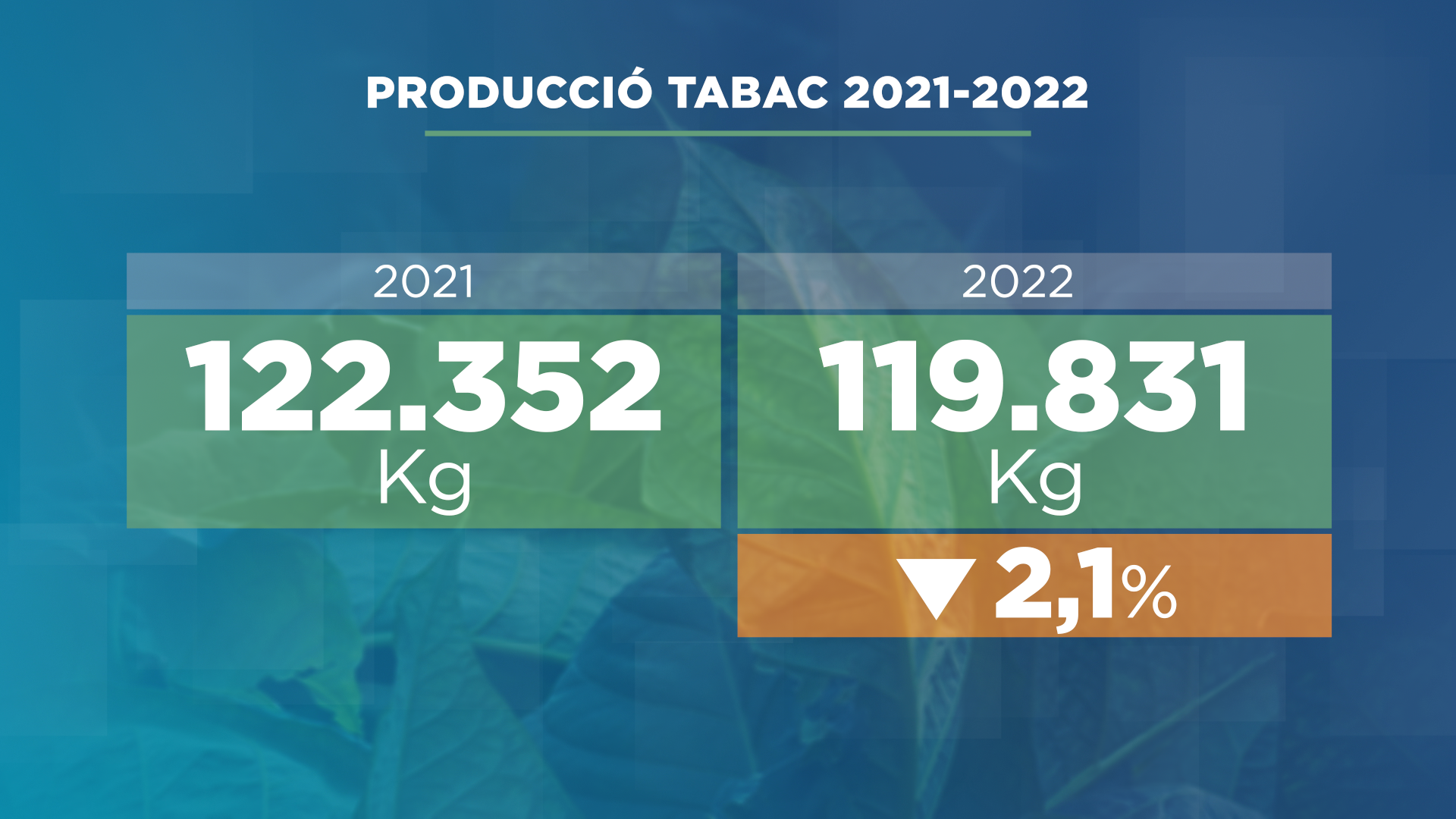 Davallada de la producció de tabac el 2022