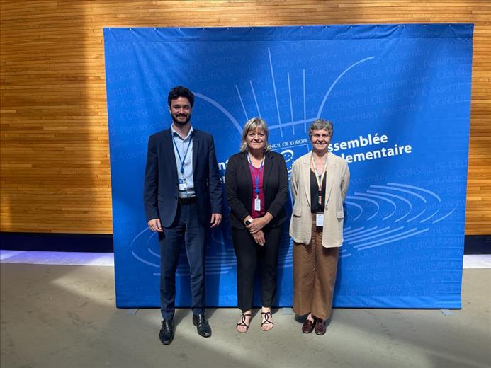 La delegació del Consell General a l'Assemblea Parlame