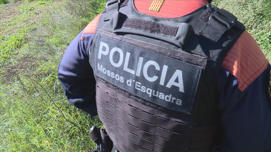 Agents dels Mossos d'Esquadra van detenir dimecres a la Seu d