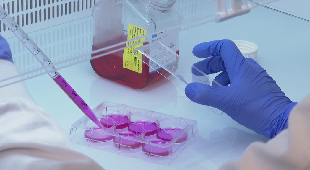 Dos joves biocientífics d'Andorra estudien malalties sense cura