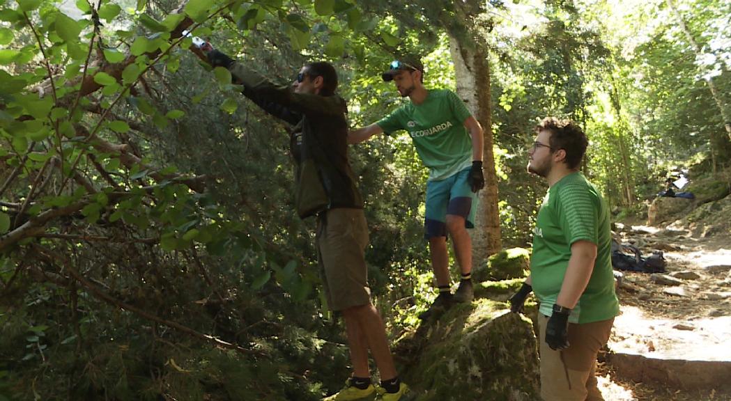 Els ecoguardes del Madriu, figures clau per mantenir el bon estat de la vall