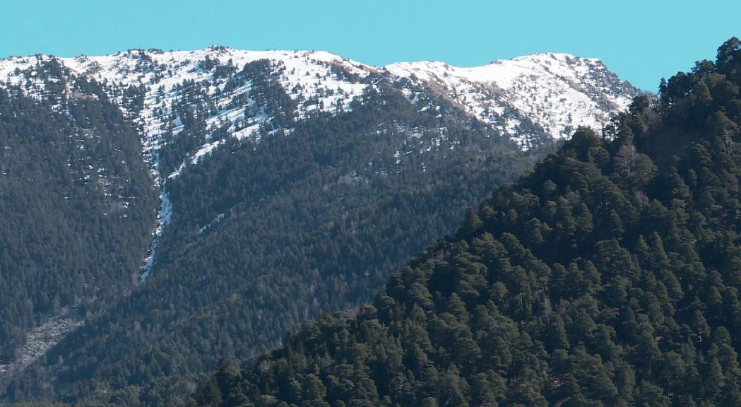 L'enginyer Jordi Llovera alerta que els boscos d'Andorra esgoten al març la capacitat d'absorbir les emissions de tot l'any 