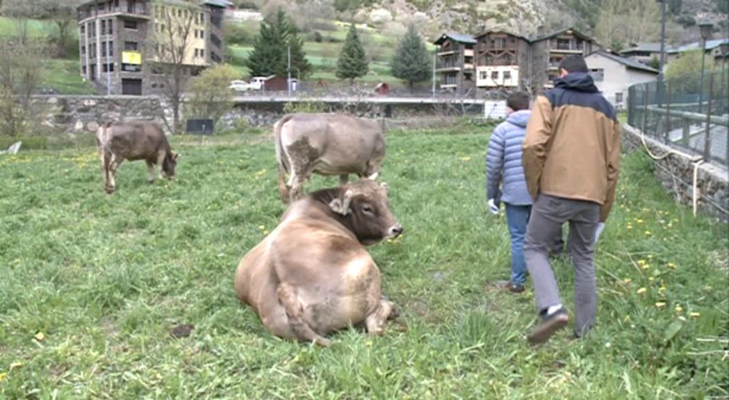 L'equilibri entre sostenibilitat i desenvolupament econòmic, principal repte de la candidatura d'Ordino a reserva de la biosfera