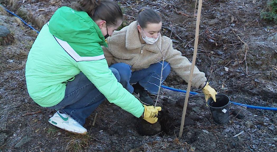 Escaldes-Engordany celebra el Dia mundial de la natura plantant 300 arbres per reforestar la Plana